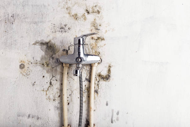 Water Damage Restoration in Vandercook Lake, MI