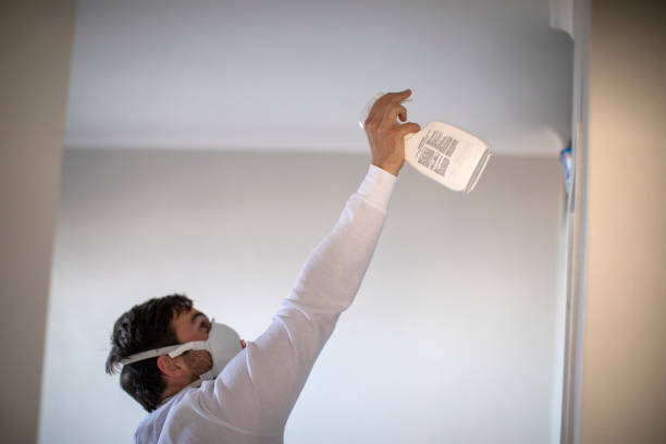 Best Best Mold Removal Companies  in Vandercook Lake, MI