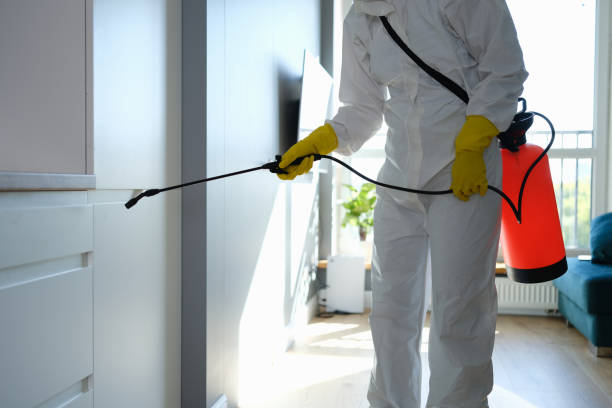 Best Mold Remediation  in Vandercook Lake, MI
