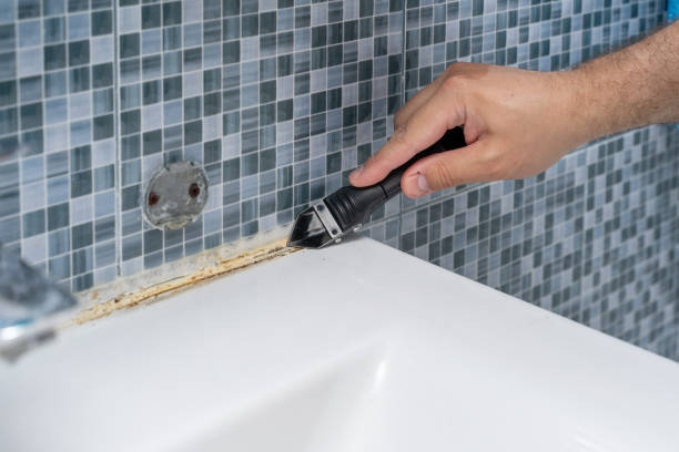 Best Residential Mold Removal  in Vandercook Lake, MI